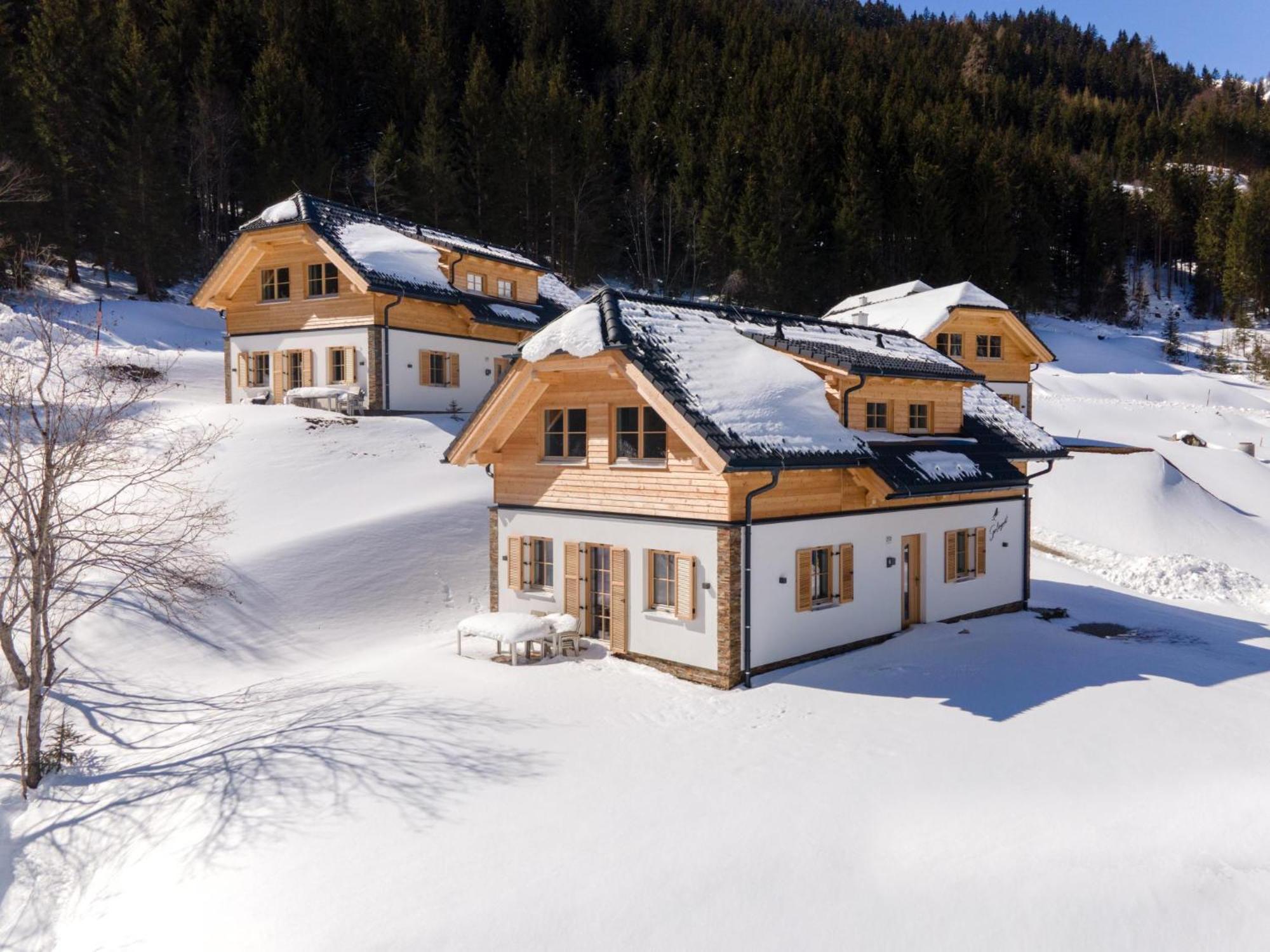 Sperlingnest Villa Donnersbachwald Exterior photo